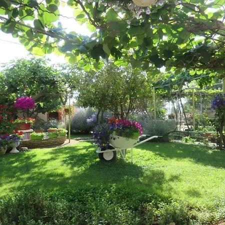 Roza - The Garden * Biograd Na Moru