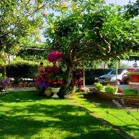 Roza - The Garden Biograd Na Moru